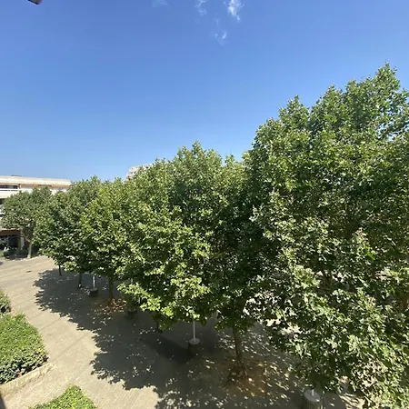 Apartment Coquet Avec Piscine - 2 Pers. - Fr-1-874-46 La Grande-Motte